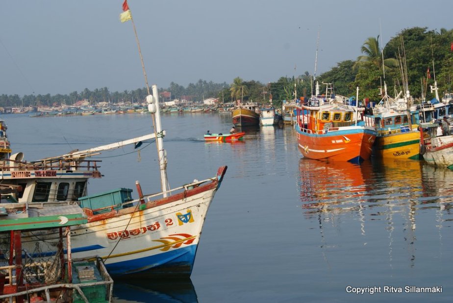 Colorful fishing boats in Sri Lanka