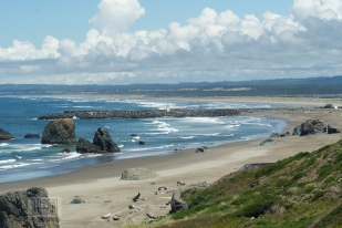 Oregon coastline - beaches-86