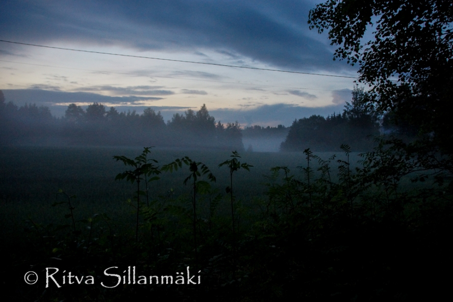 fog- Ritva Sillanmäki (27 of 45)