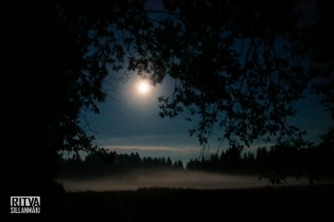 moon and mist (1 of 25)