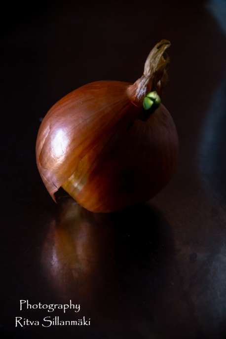 onion (17 of 19)