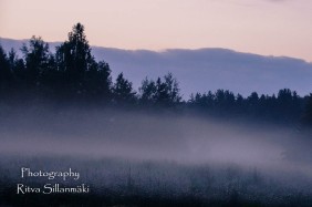 misty evening-17