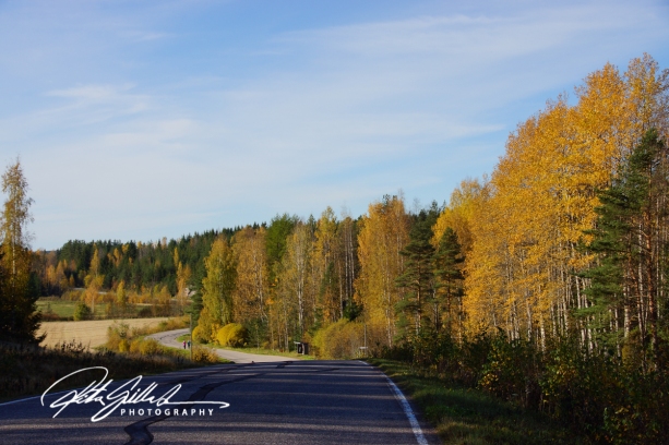 country-roads-in-fall-4-2