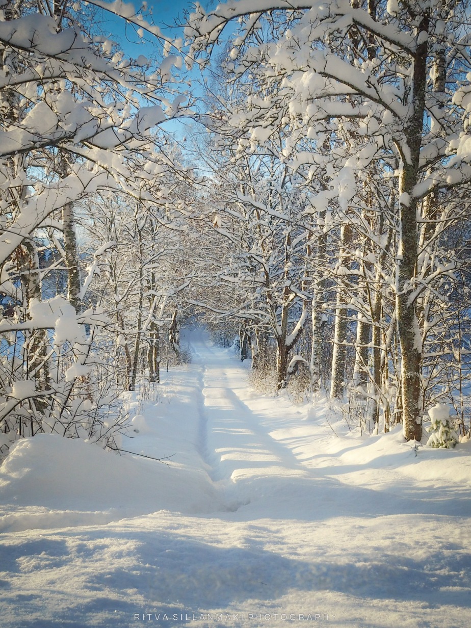 Snow covered lane